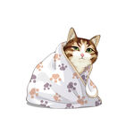 猫              