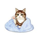 猫              