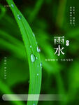 雨水海报           