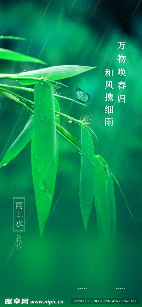 雨水海报           