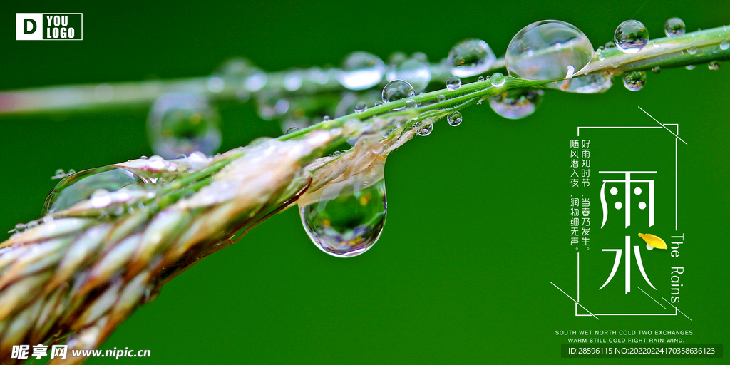 雨水海报           