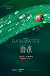 雨水海报           