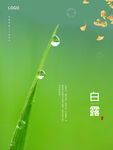 白露