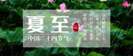 雨水海报           