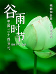雨水海报           