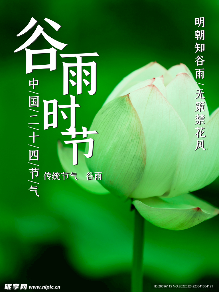 雨水海报           