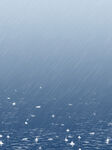雨水海报           