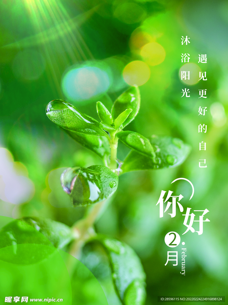 雨水海报           
