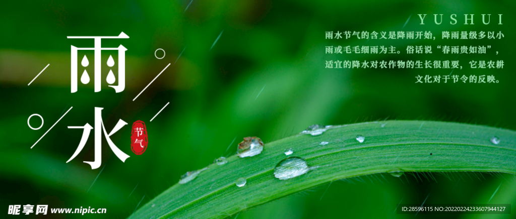 雨水海报           