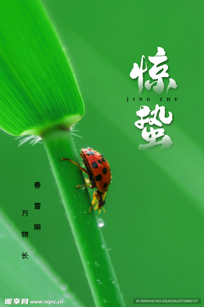 惊蛰