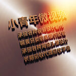 智能贴图样机