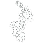 线描花