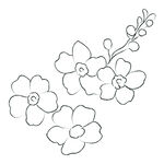 线描花