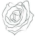 线描花