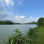 建筑 玻璃 幕墙 外墙蓝天树木