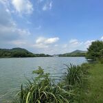 建筑 玻璃 幕墙 外墙蓝天树木