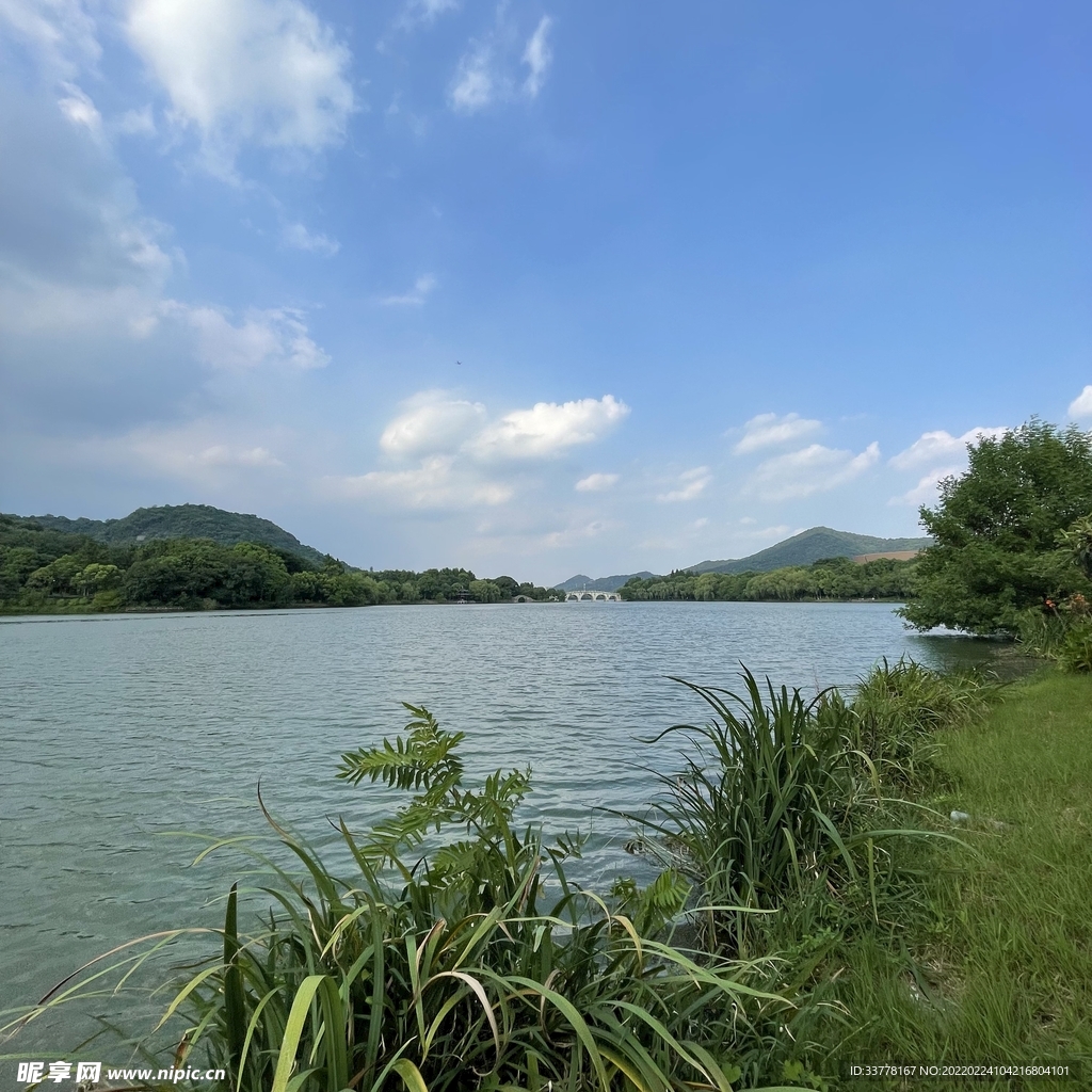 建筑 玻璃 幕墙 外墙蓝天树木