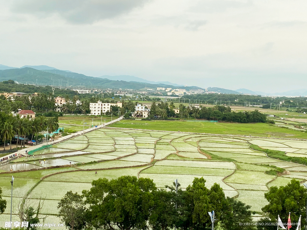 拥抱田野