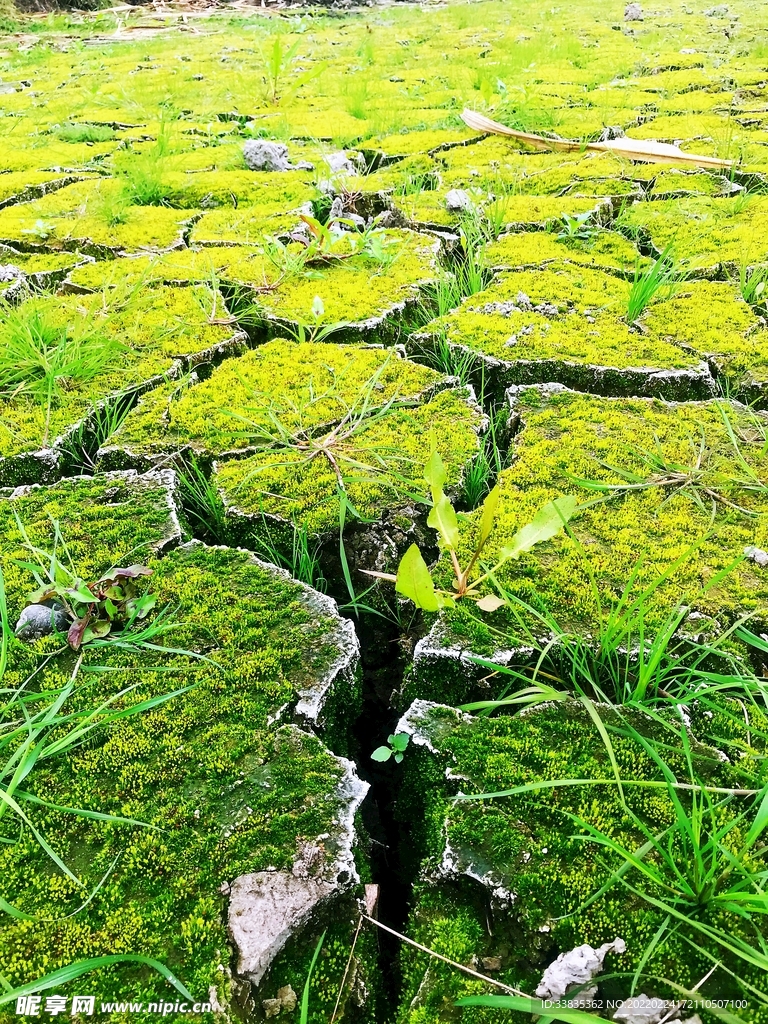 天干地旱