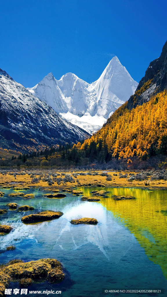 青山绿水风景