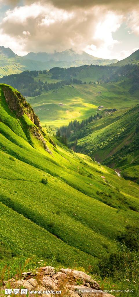 绿色山丘