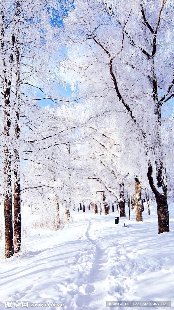 冬季秀丽风景