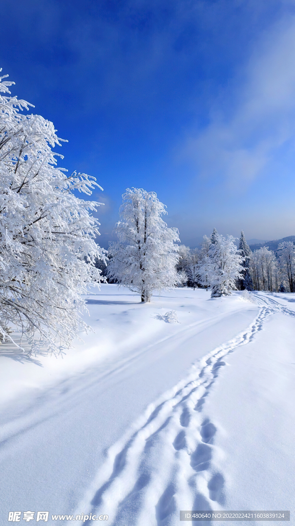 雪地风景
