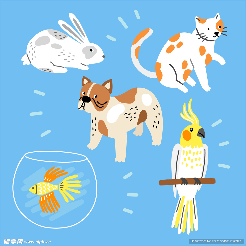 各种宠物