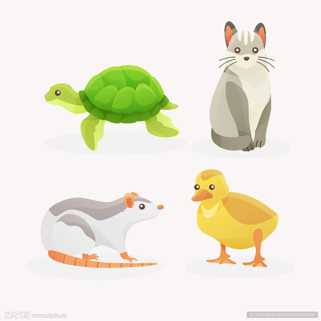 各种宠物