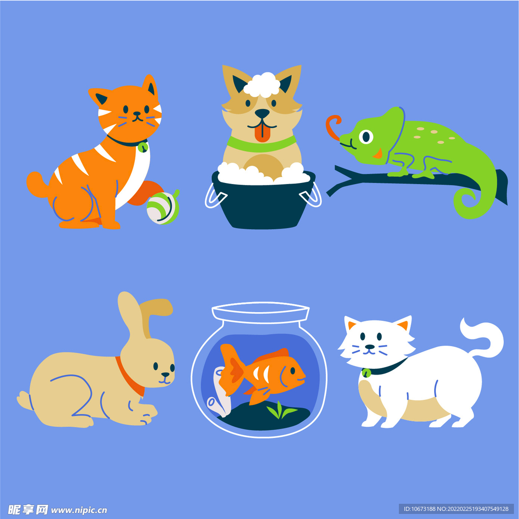 各种宠物