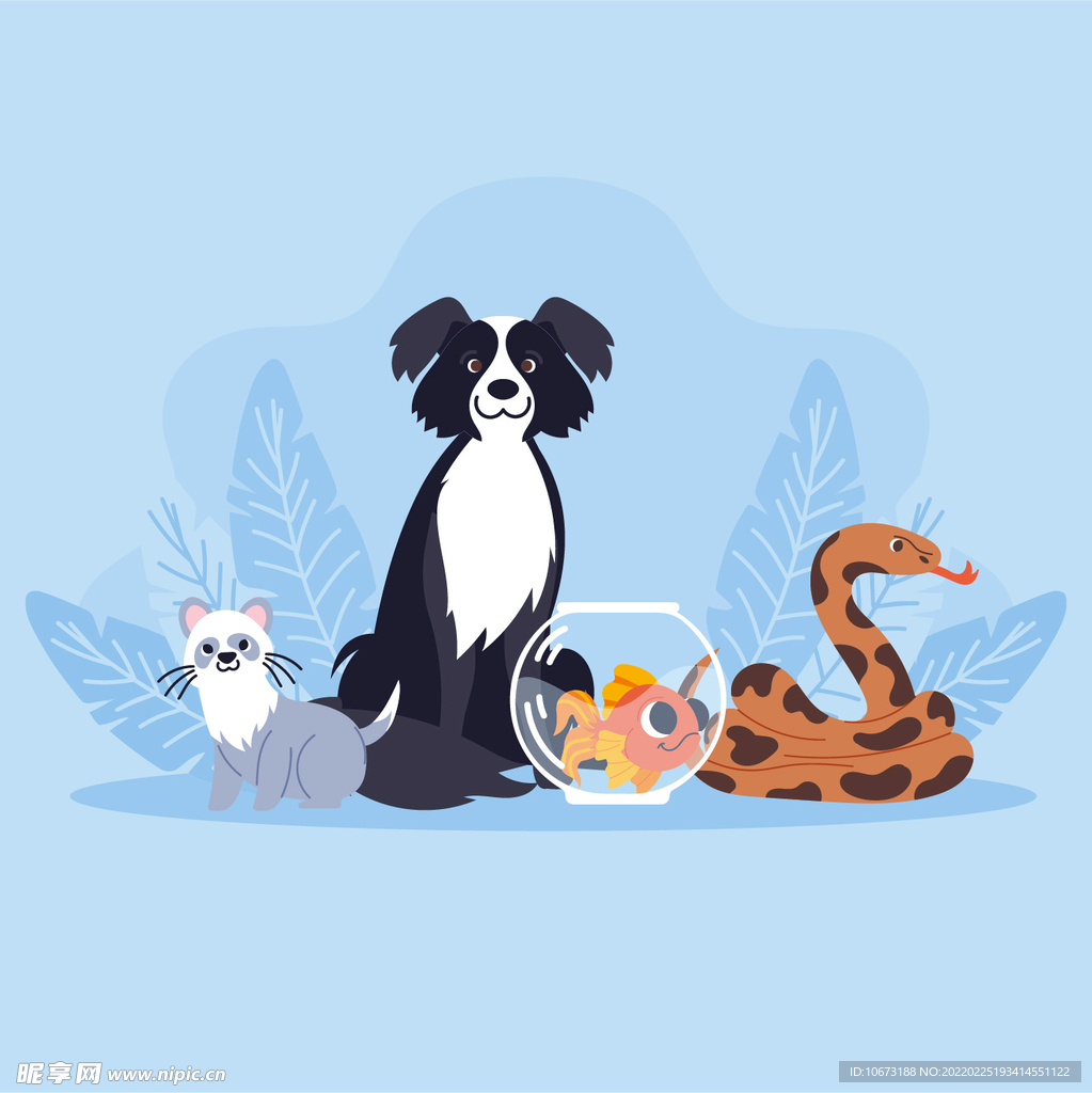 各种宠物 