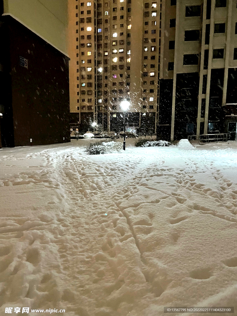 雪景