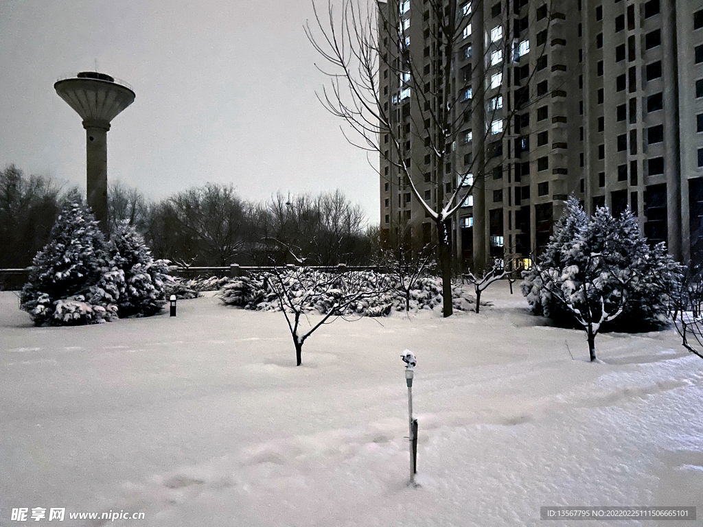 雪景