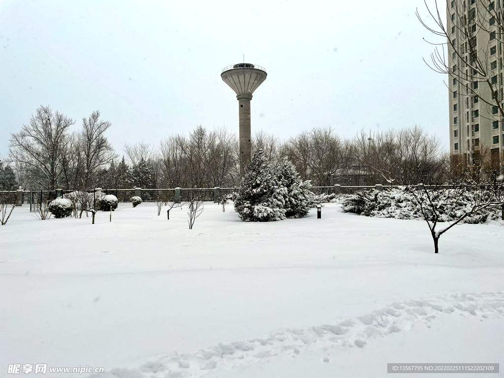 雪景