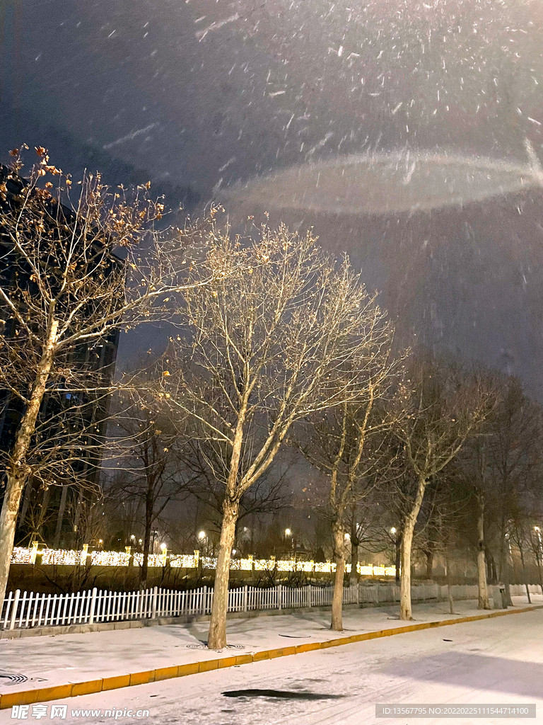 灯光下的雪景