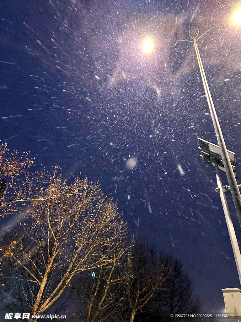 路灯下的雪景