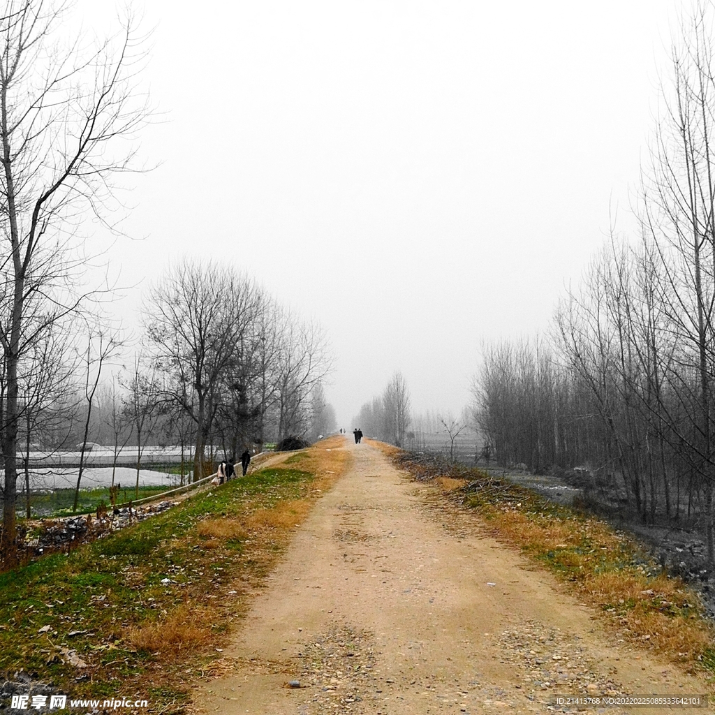 乡间小路风景