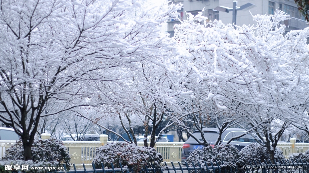 冬日雪景风景 