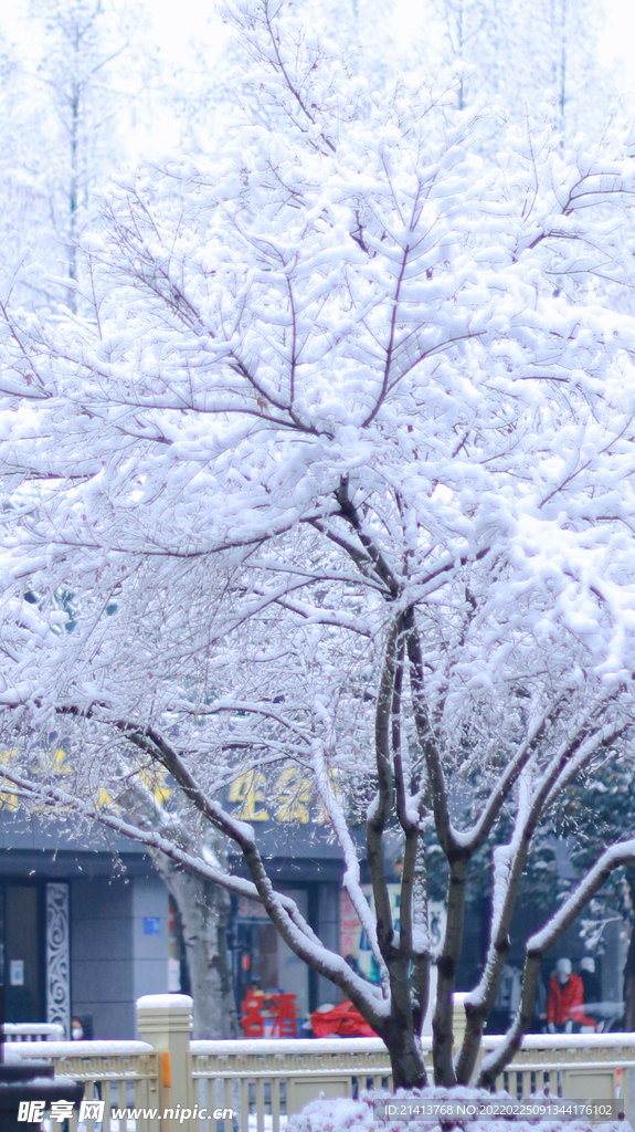 冬日雪景风景 