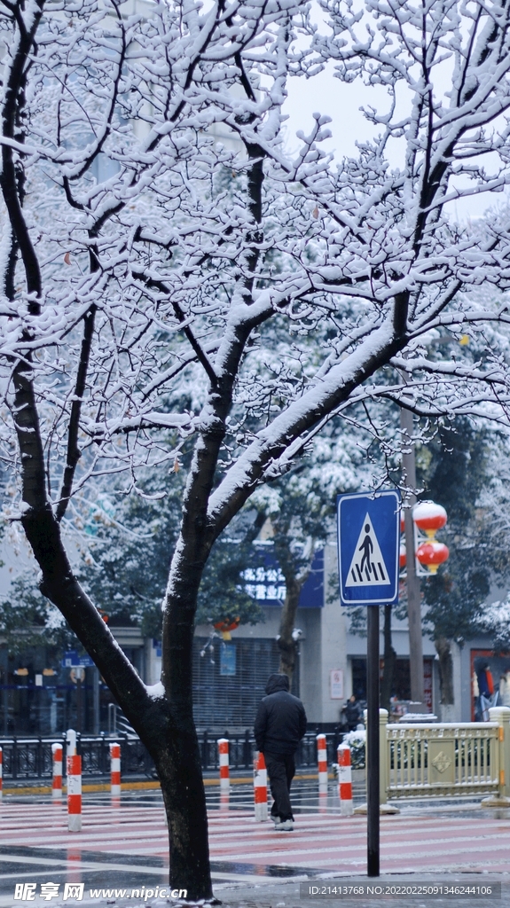 冬日雪景风景