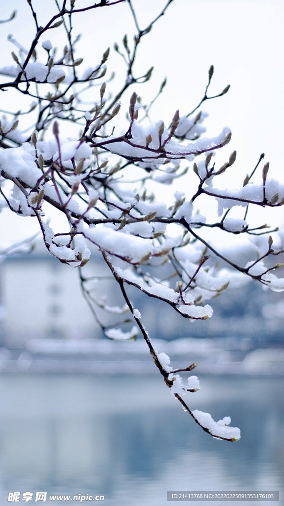 冬日雪景风景 
