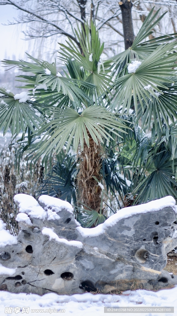 冬日雪景风景 