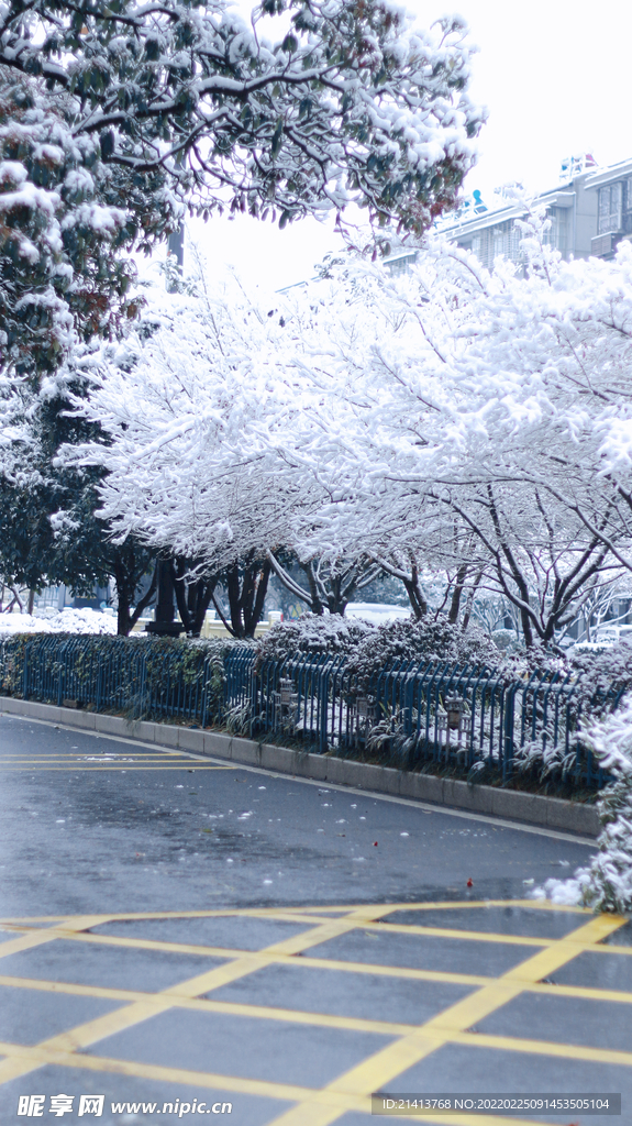冬日雪景风景 