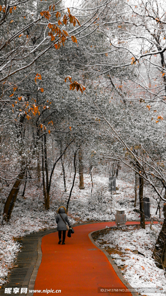 冬日雪景风景
