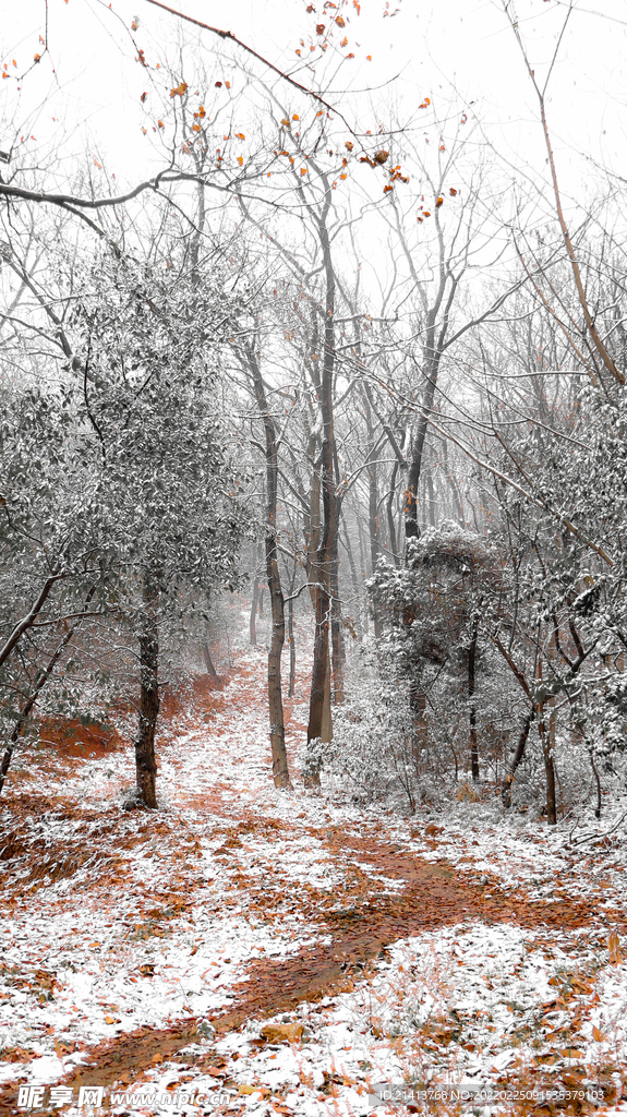 冬日雪景风景 