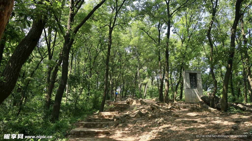 山路风景 