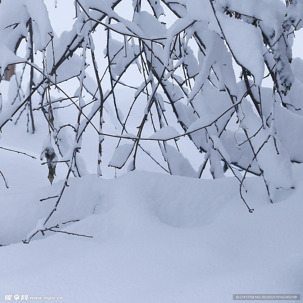 冬日雪景风景 