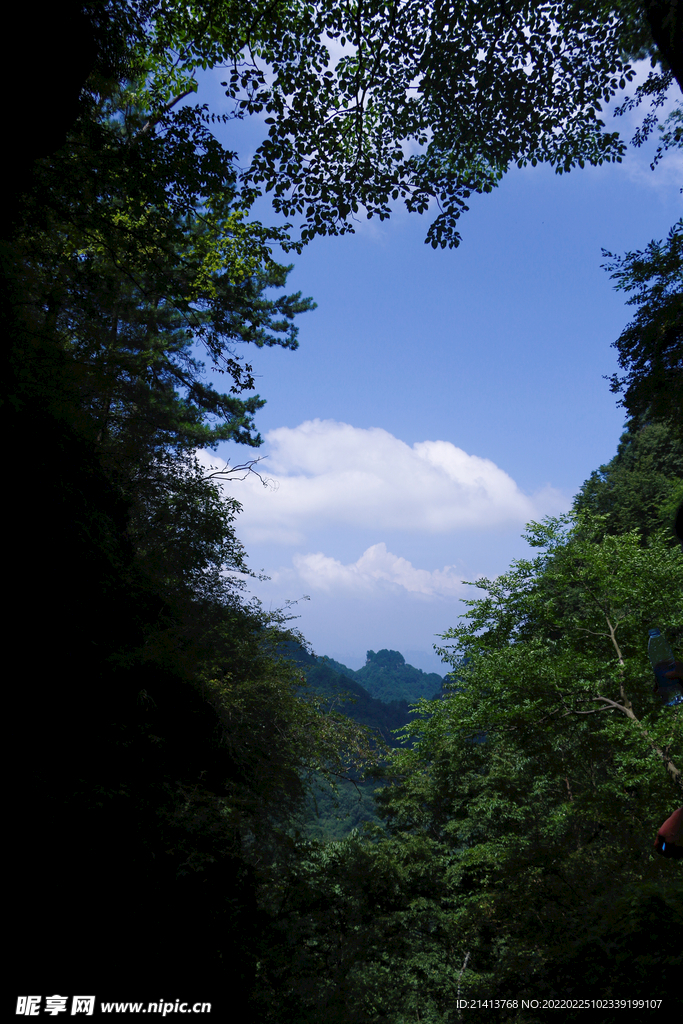 清新自然风景 