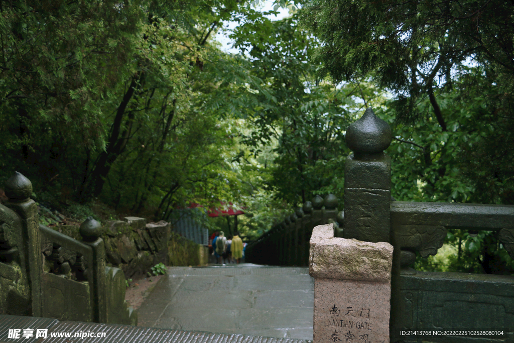 清新自然风景 
