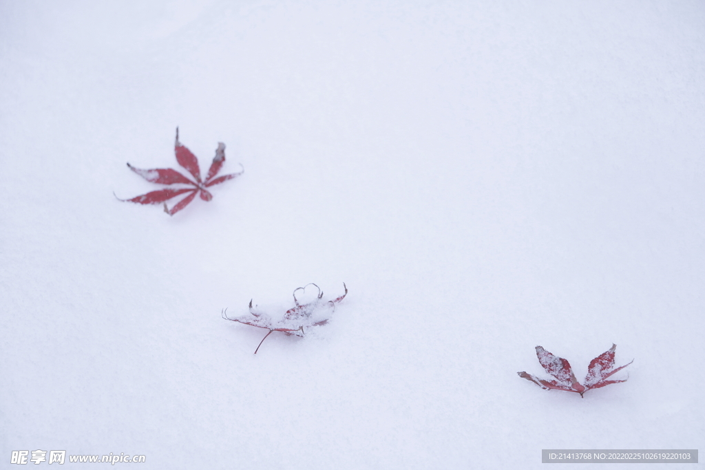 冬日雪景风景 